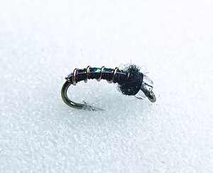 Black beauty fly fishing lure.