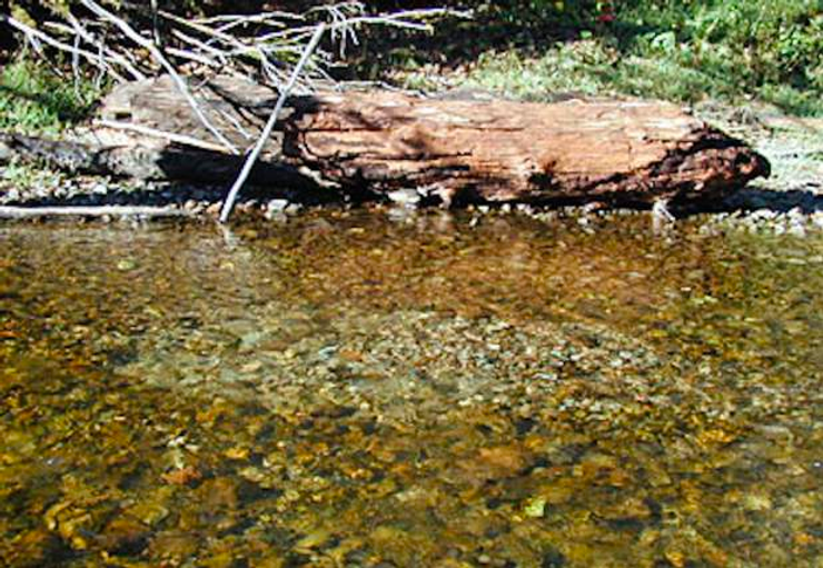 Colorado river in late fall.