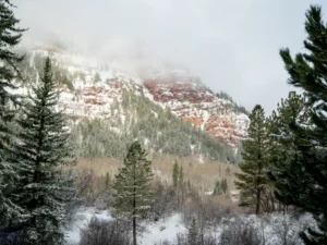Finding hope in the Colorado Mountains with Fishing The Good Fight.