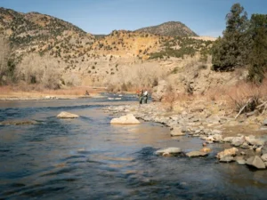 Fly Fishing on the Arkansas Valley river in April of 2024 with Fishing The Good Fight.